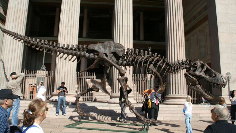 65 milyon yıllık dinozordan rekor