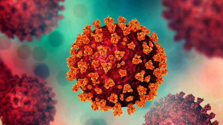 2 yeni koronavirüs daha bulundu